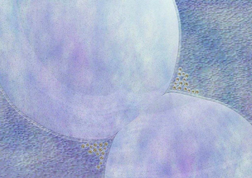 博昌美博會(huì)帶你了解化妝品的“進(jìn)化史”4